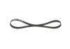 V-Ribbed Belt VAG - 03G 903 137 A - 6PK950