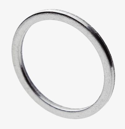 Seal Ring Tihendrõngas