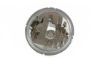 Insert, spotlight Luminator Xenon D1S REF 37.5