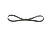 V-Ribbed Belt VAG - 045 903 137 D - 6PK995