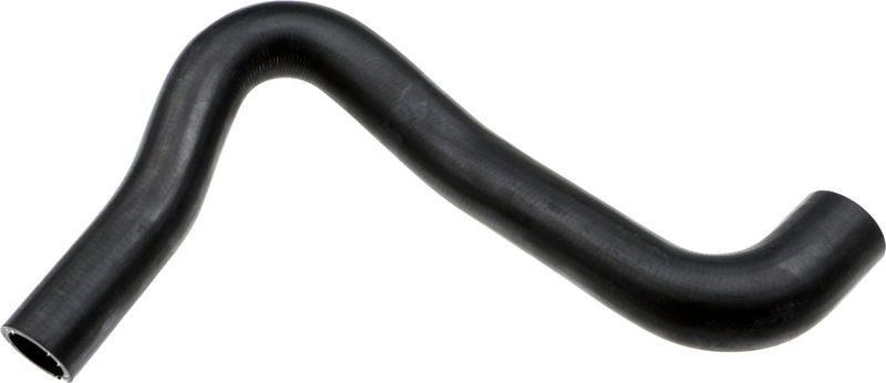 Radiator Hose -