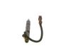 Nozzle and Holder Assembly -