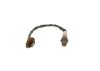 Oxygen Sensor -