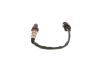 Oxygen Sensor -