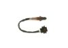 Oxygen Sensor -