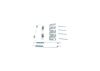 Accessory Kit, brake shoes -