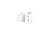 Accessory Kit, brake shoes -