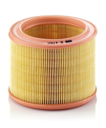 Air Filter Citroen, Peugeot, Talbot