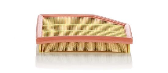 Air Filter BMW