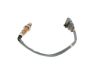 Oxygen Sensor -