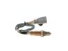 Oxygen Sensor -