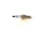 Spark Plug -