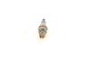 Spark Plug -