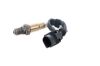Oxygen Sensor -