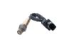 Oxygen Sensor -