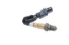 Oxygen Sensor -