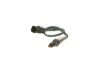 Oxygen Sensor -