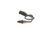 Oxygen Sensor -