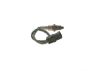 Oxygen Sensor -