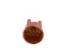 Distributor Cap -