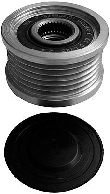 Alternator Freewheel Clutch -