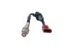 Oxygen Sensor -