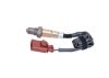 Oxygen Sensor -