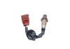 Oxygen Sensor -