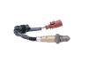 Oxygen Sensor -