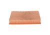 Air Filter -