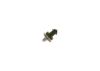 Sensor, fuel pressure -