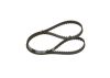Timing Belt -