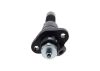 lnjection Pump -
