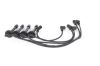 Ignition Cable Kit Nissan