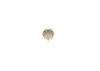 Oil Pressure Switch -