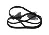 Timing Belt Kit -