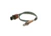 Oxygen Sensor -