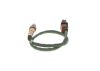 Oxygen Sensor -