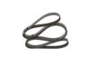 V-Ribbed Belt 6PK2050