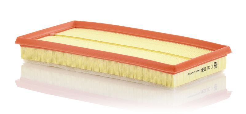 Air Filter Fiat Group