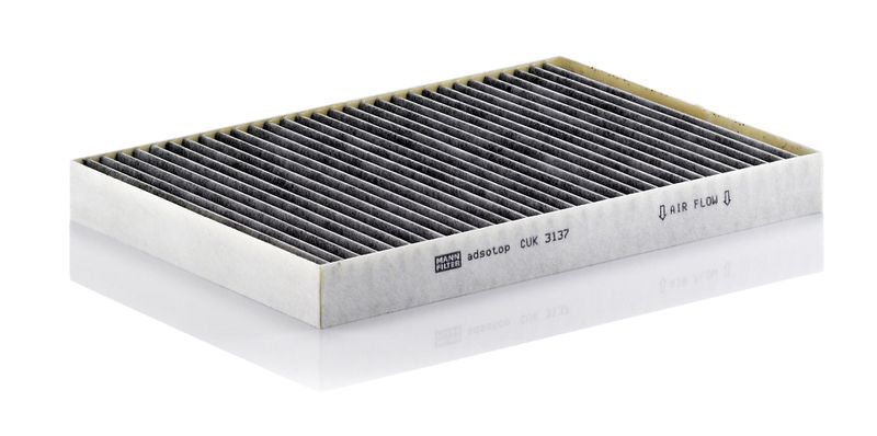 Filter, cabin air Chrysler 300C 04-