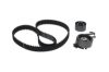 Timing Belt Kit -