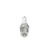 Spark Plug -