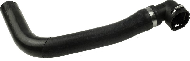 Radiator Hose -
