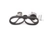 Water Pump & Timing Belt Kit -
