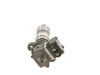Unit Injector (UI) -