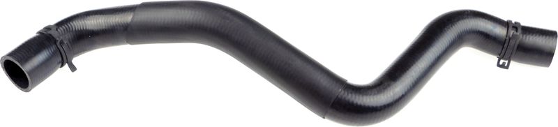 Radiator Hose -