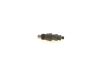 Nozzle and Holder Assembly 96 069 910 PEUGEOT