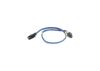 Oxygen Sensor -