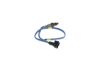 Oxygen Sensor -